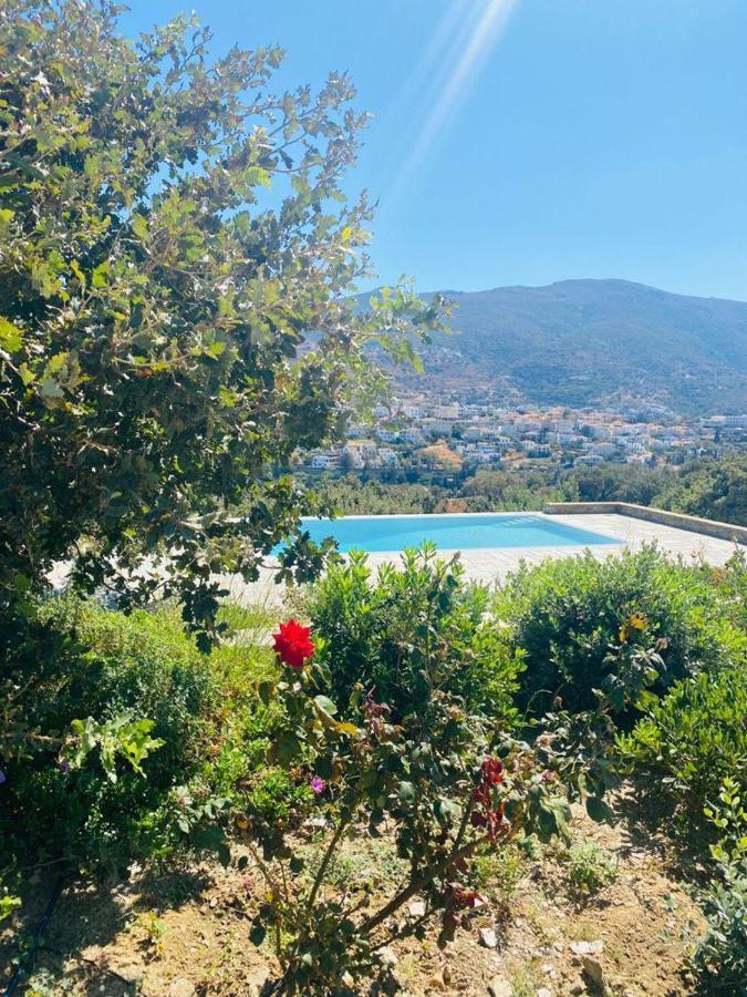 Harma Villas Andros Town Bagian luar foto